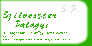 szilveszter palagyi business card